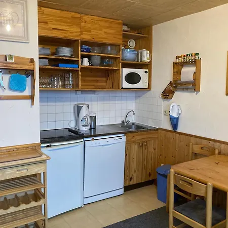 Apartment 2 Pieces Cabine, 200m Pistes, 6 Pers, Balcon - Fr-1-557a-53 La Ferriere (Isere)